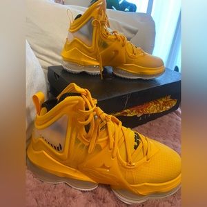 NIB Nike Lebron James air XIX